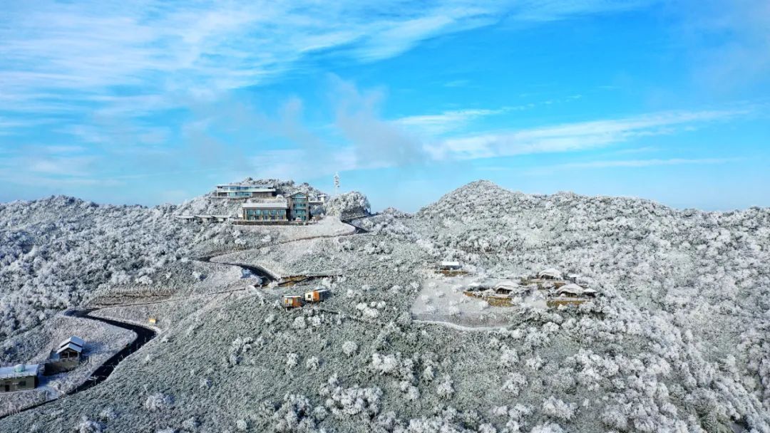 雪后天晴洁白冰雪点靓泸州之巅罗汉林